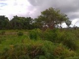Newport, Manchester, Jamaica - Residential lot for Sale